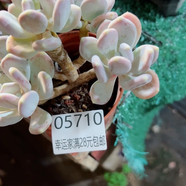 幸运的是我还没遇到过这样