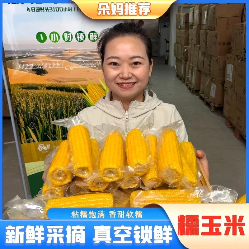 【朵妈】万糯8号内蒙巴彦淖尔沙漠玉米真空4-5两/根8根共1.8KG左右