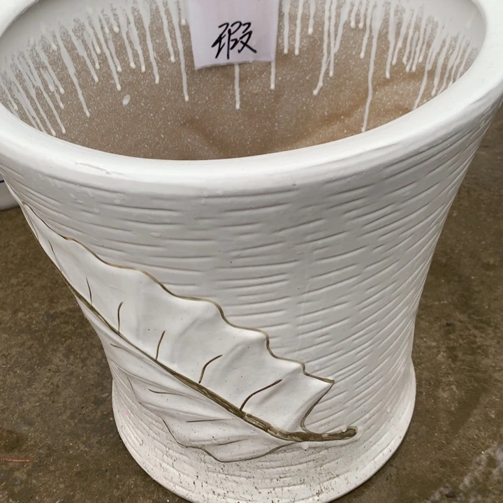 花盆里的小猫咪们都好可爱