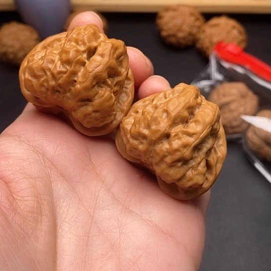 核桃38尺四开背蛤蟆头