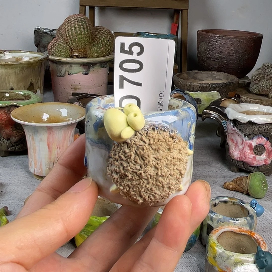 坛子姐小羊盆内口3.5