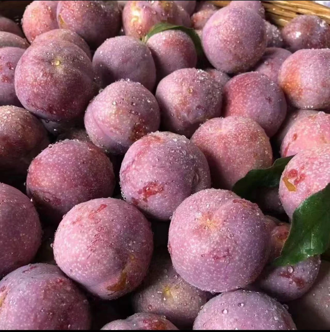 正宗红心三华李新鲜现摘孕妇爱吃的当季水果