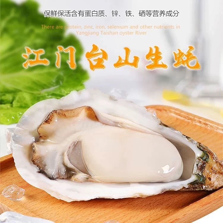 【今天发明天到】深海吊养台山生蚝 5斤装（约17-22只）饱满肥美新鲜全壳生蚝【顺丰/京东次日达】年货节年货补贴