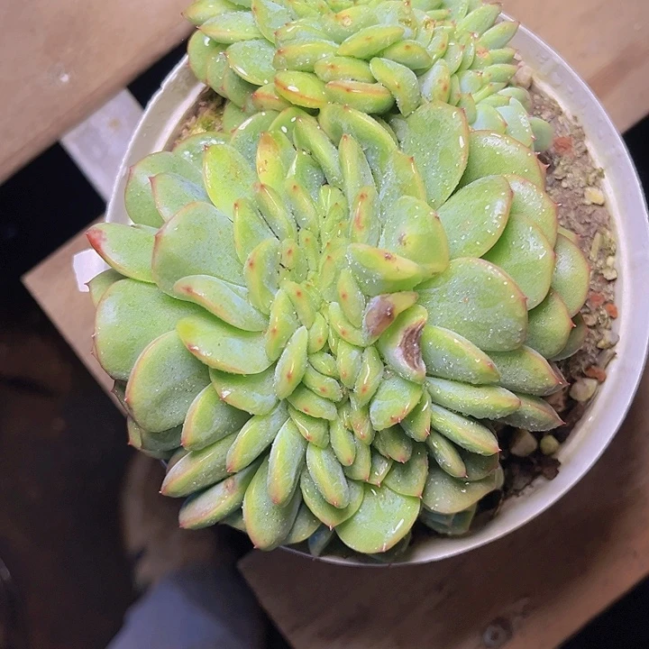 山***间这也不是我们说要和