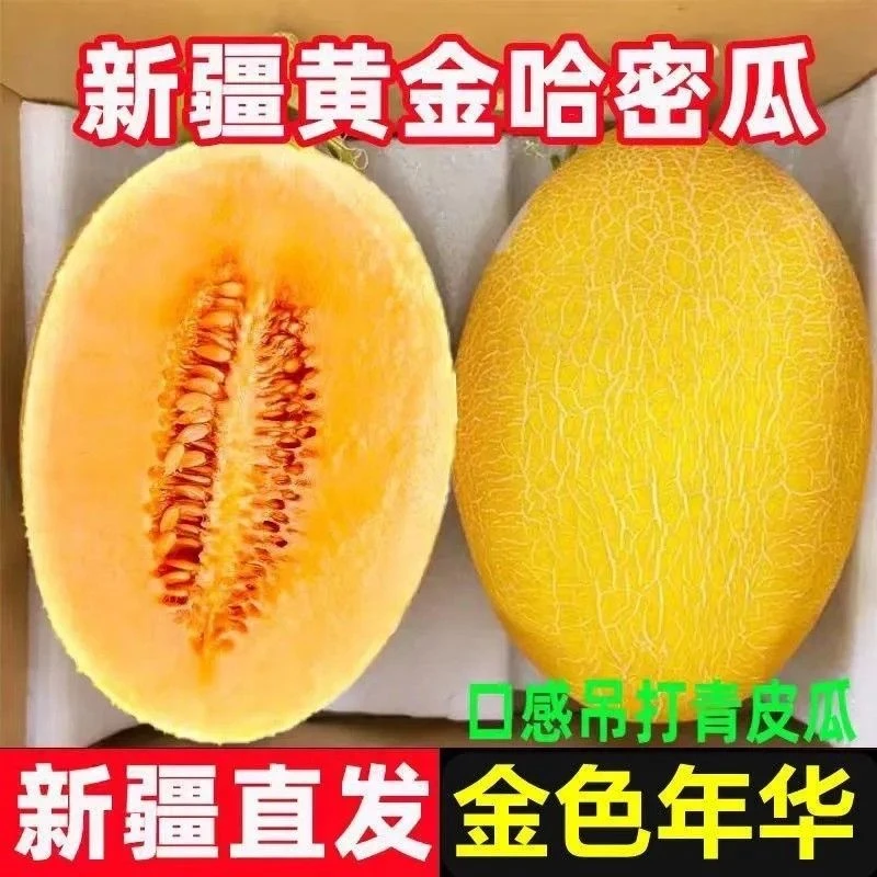 【主播福利】新疆新鲜金色年华哈密瓜