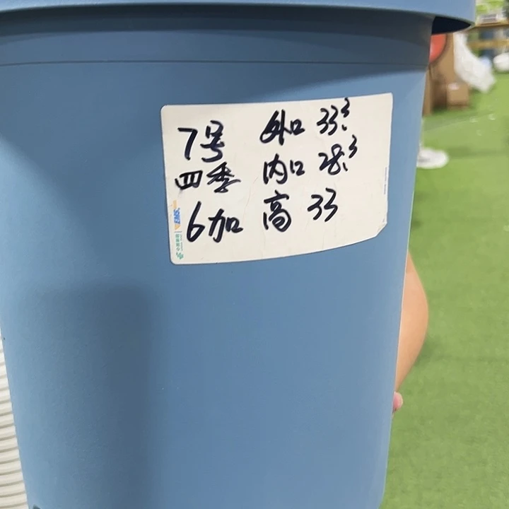 特价7号口33高33蓝色6只无托