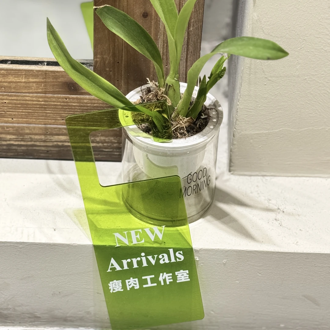 7号链接瘦肉家老产品