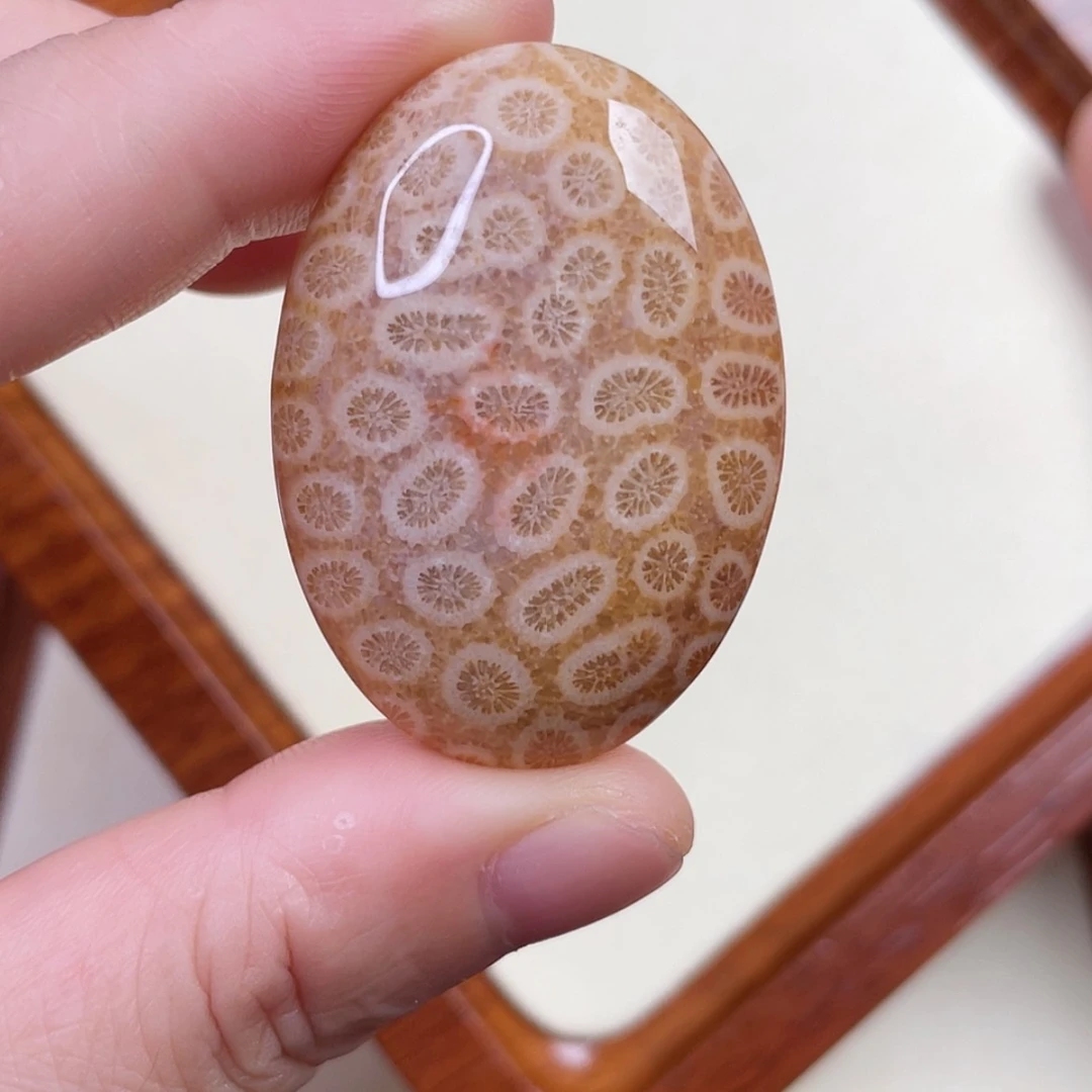 【闪购商品】硅化玉吊坠(赠链)未镶嵌