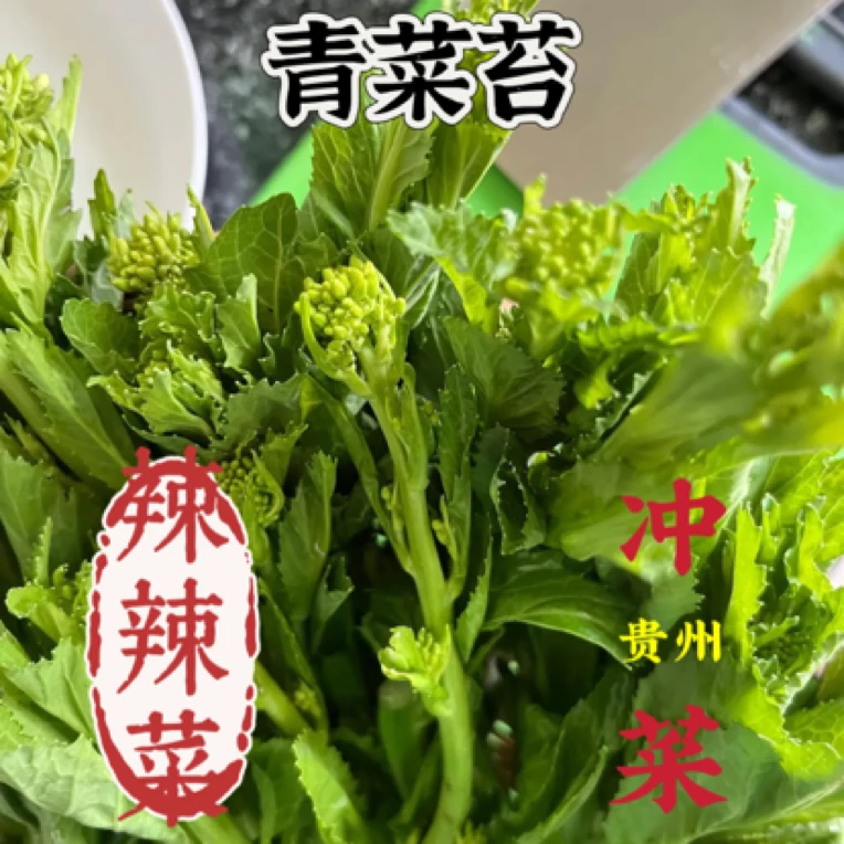 贵州青菜苔 辣辣菜 冲菜 高山生态露天种植健康放心
