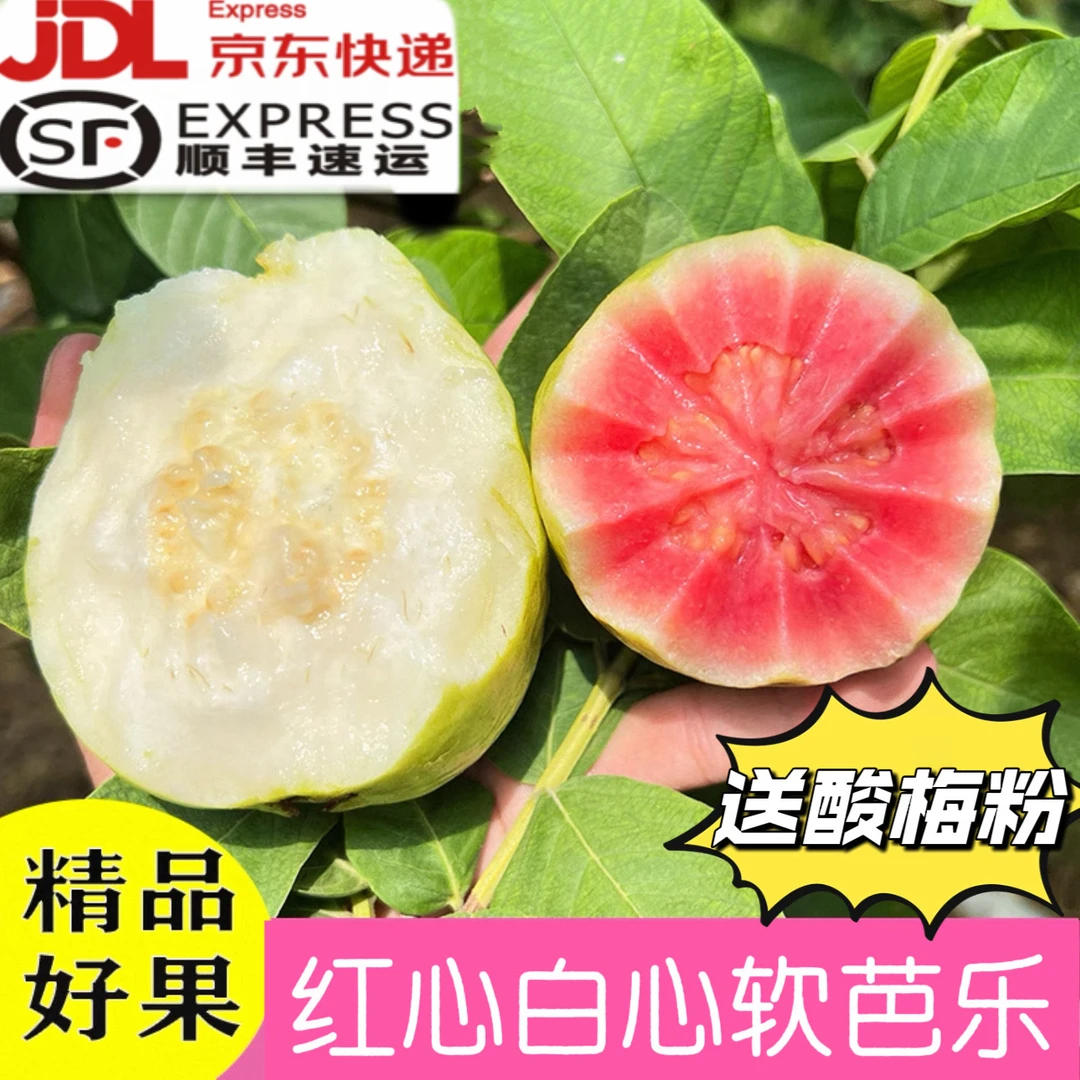 【京东】正宗红心白心软芭乐奶油软糯甜番石榴当季低糖低卡水果彩箱