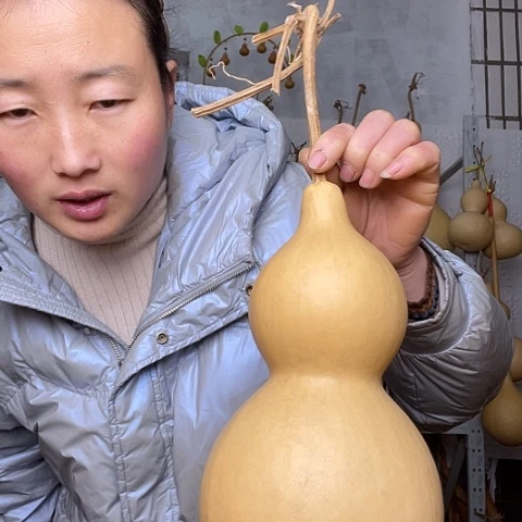 天然植物葫芦文玩