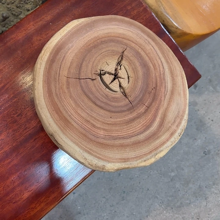 香樟木整体26-27-5