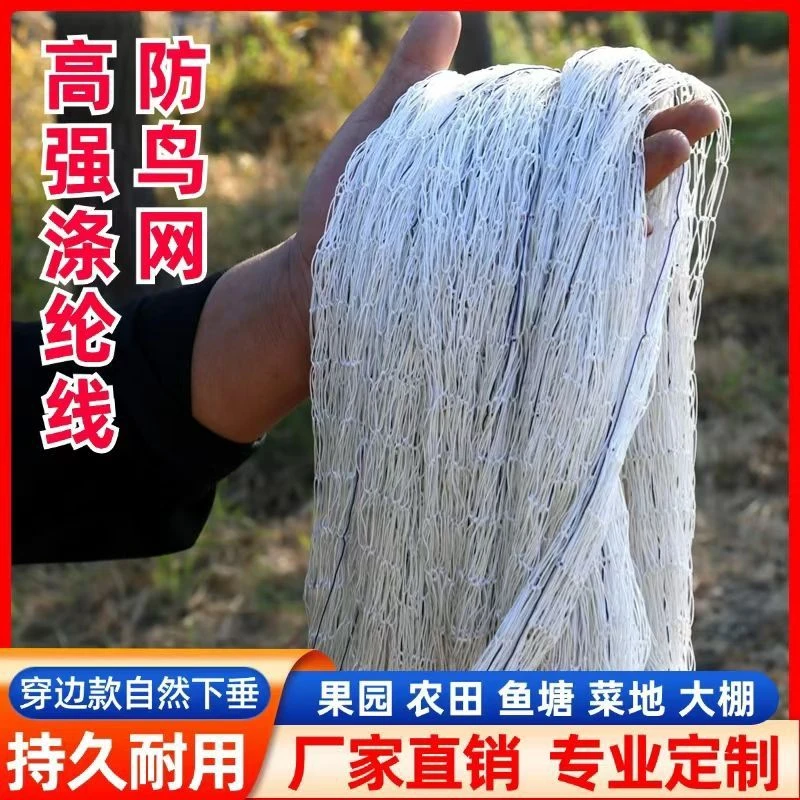 强力耐用的涤纶高强尼龙防鸟网专业定制适用于果树樱桃养鱼虾池