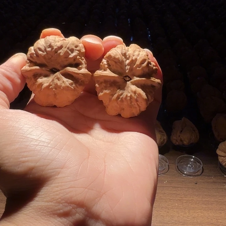 陈***董核桃蛤蟆的眼睛是真的好看啊