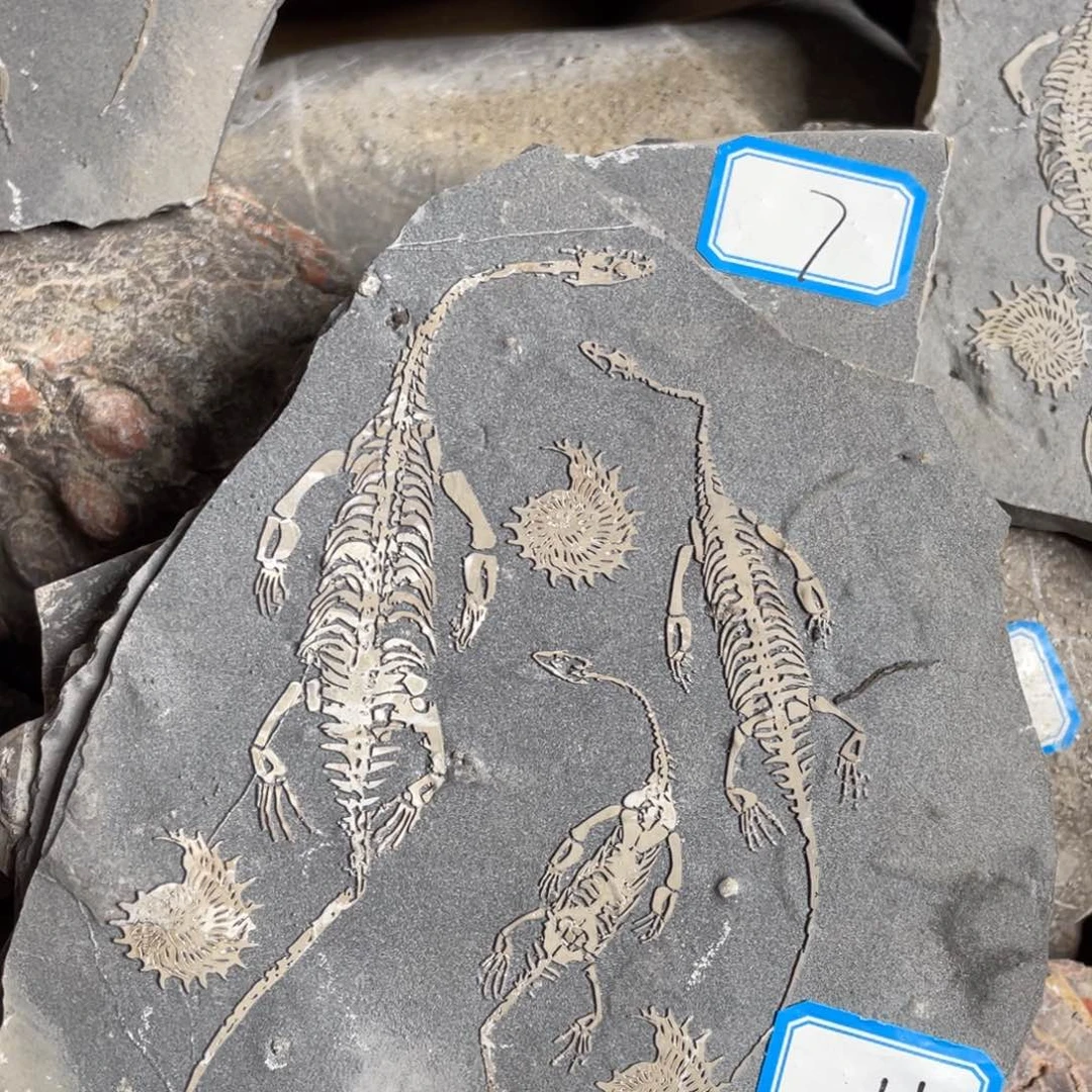 石材111111111111111111111111