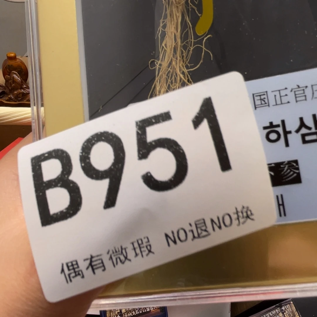 正***一000000000000000编号951