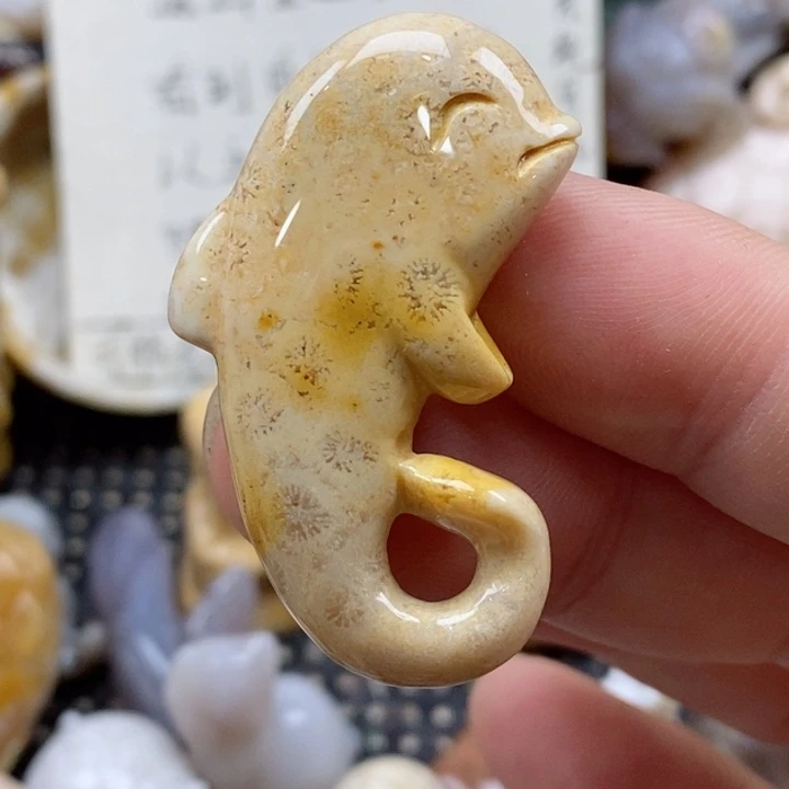 颈饰未镶嵌硅化珊瑚（珊瑚玉）小