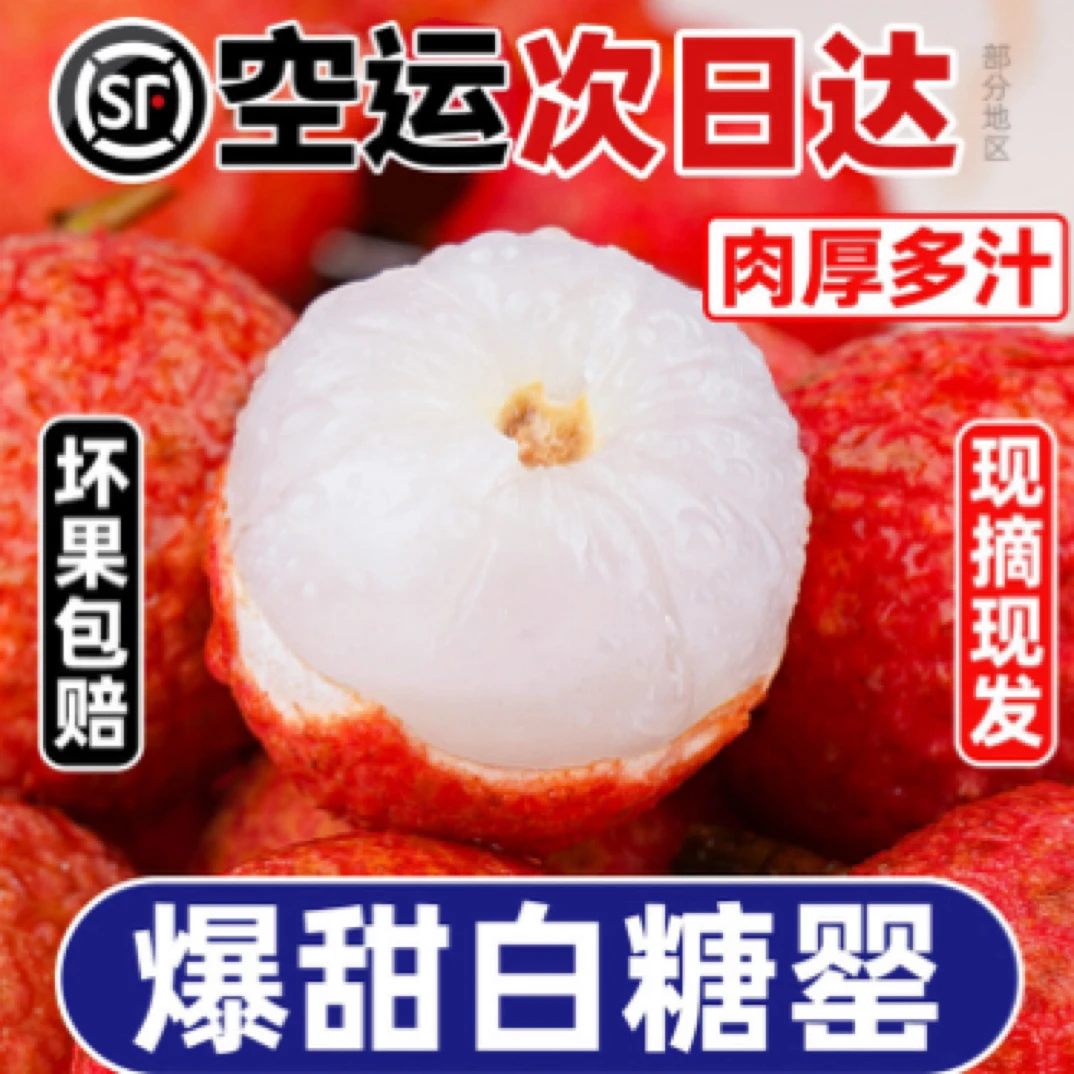 【HJ顺丰空运/全国次日达】 老树荔枝当季新鲜白糖罂 1/3/5斤荔枝同城送