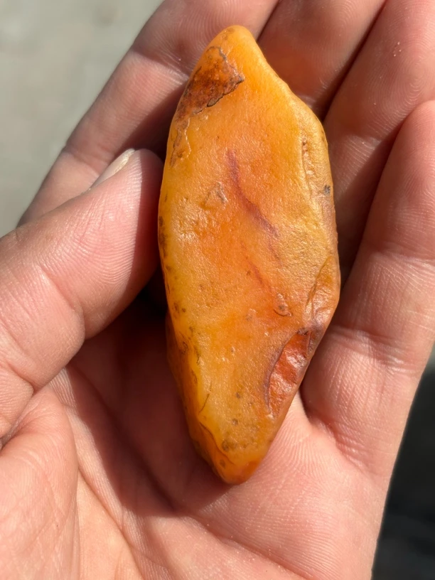 乌拉特后旗黄腊石沙漠漆
