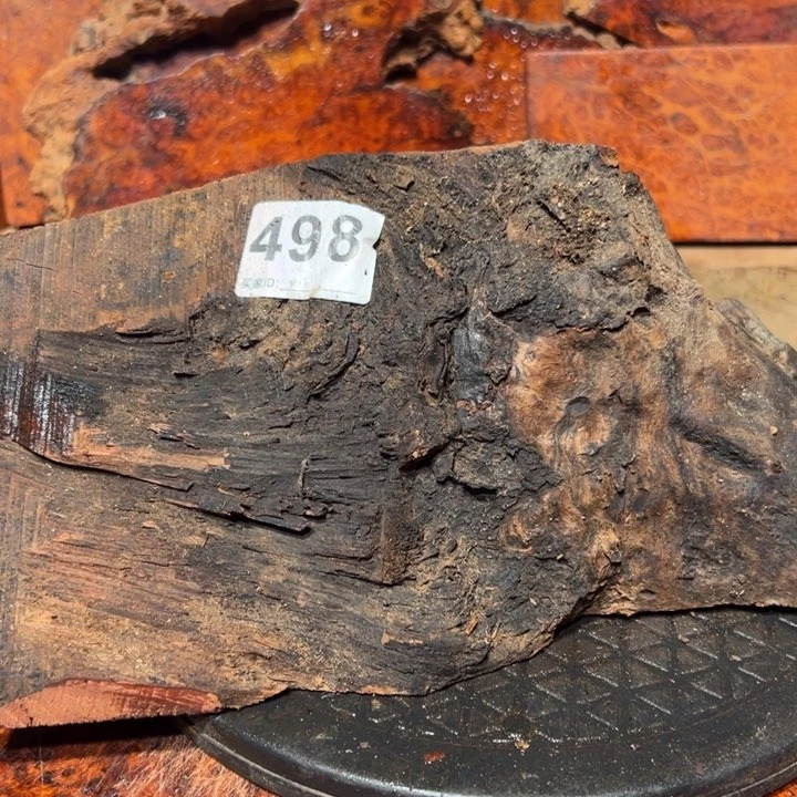 大果紫檀（缅甸花梨）