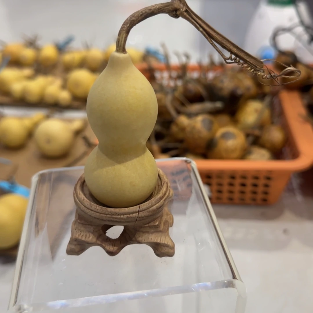 葫芦咯偶涂抹来咯哦哦乐乐了