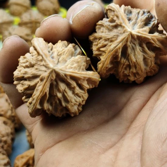 杨***鹏大叶紫檀（黑酸枝木类）盘山三棱核桃