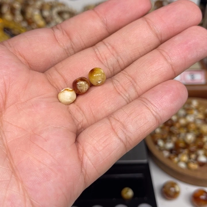 未镶嵌琥珀裸石电***丘21号