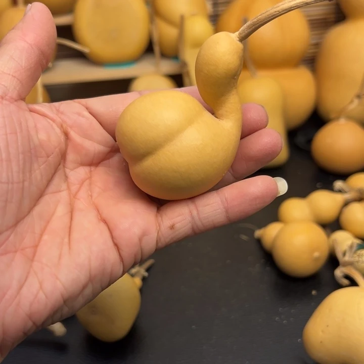 乐***芦5555566666566699