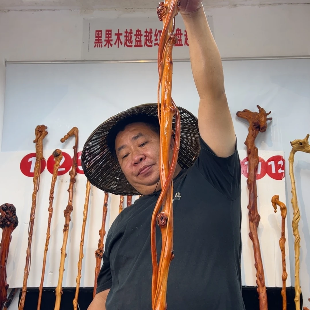 半***色黑果木其他黑果木242