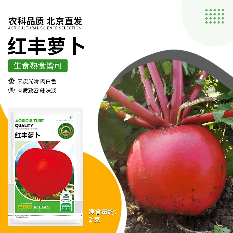 【农科院推荐大红袍萝卜种子】萝卜种子秋季卞萝卜种子四季蔬菜种子