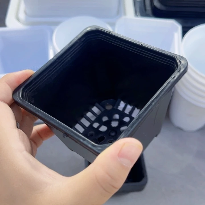 黑方口8高7一组20个