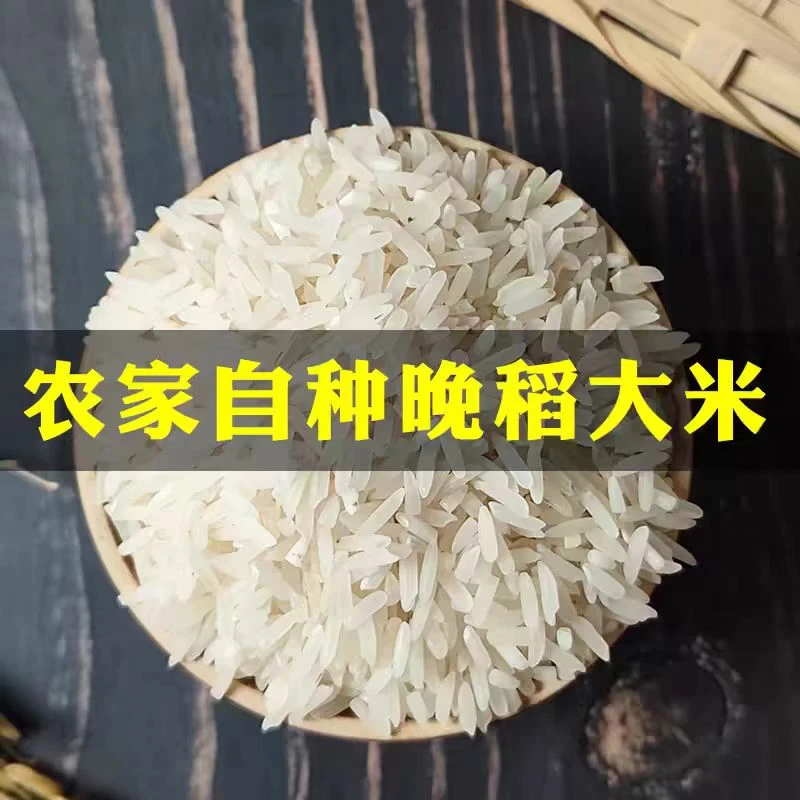 本地山区晚稻新米不抛光不打蜡农村原生态大米20斤