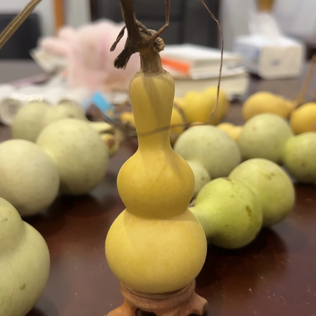 v哈哈刚刚干活桁架结构哈哈