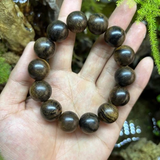 沉香达拉干沉香老料沉水级1.6规格