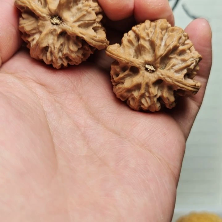 核桃手串/手链福利苹果园