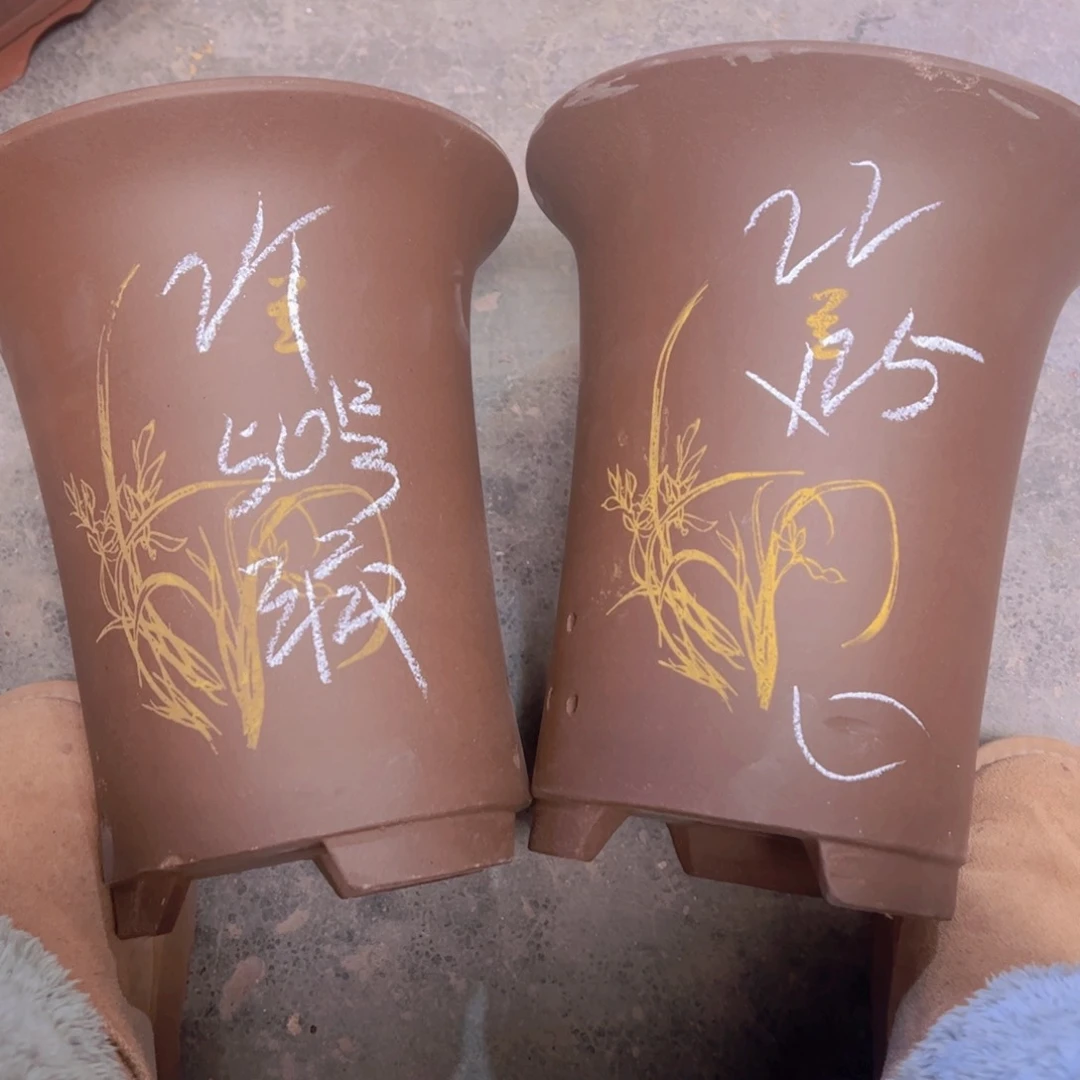 紫砂李*50……………………………………