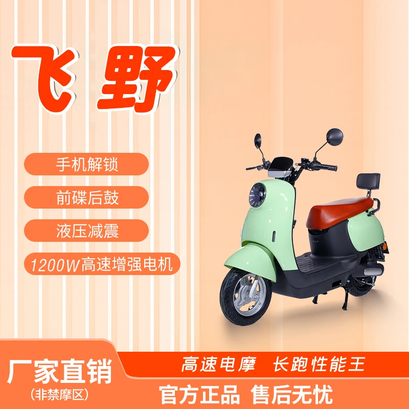 飞野飞野新款小金龟大功率家用电动摩托车60V/72V男女代步通勤