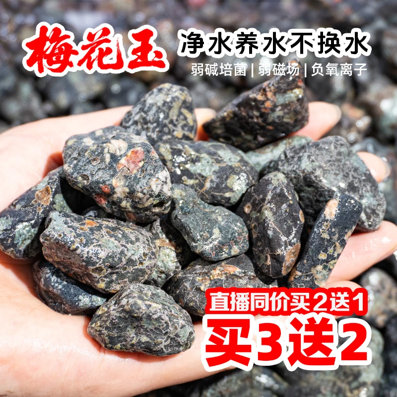 天然净水鱼缸造景安山岩汝石梅花玉鱼缸石造景石鱼缸底砂调节水质
