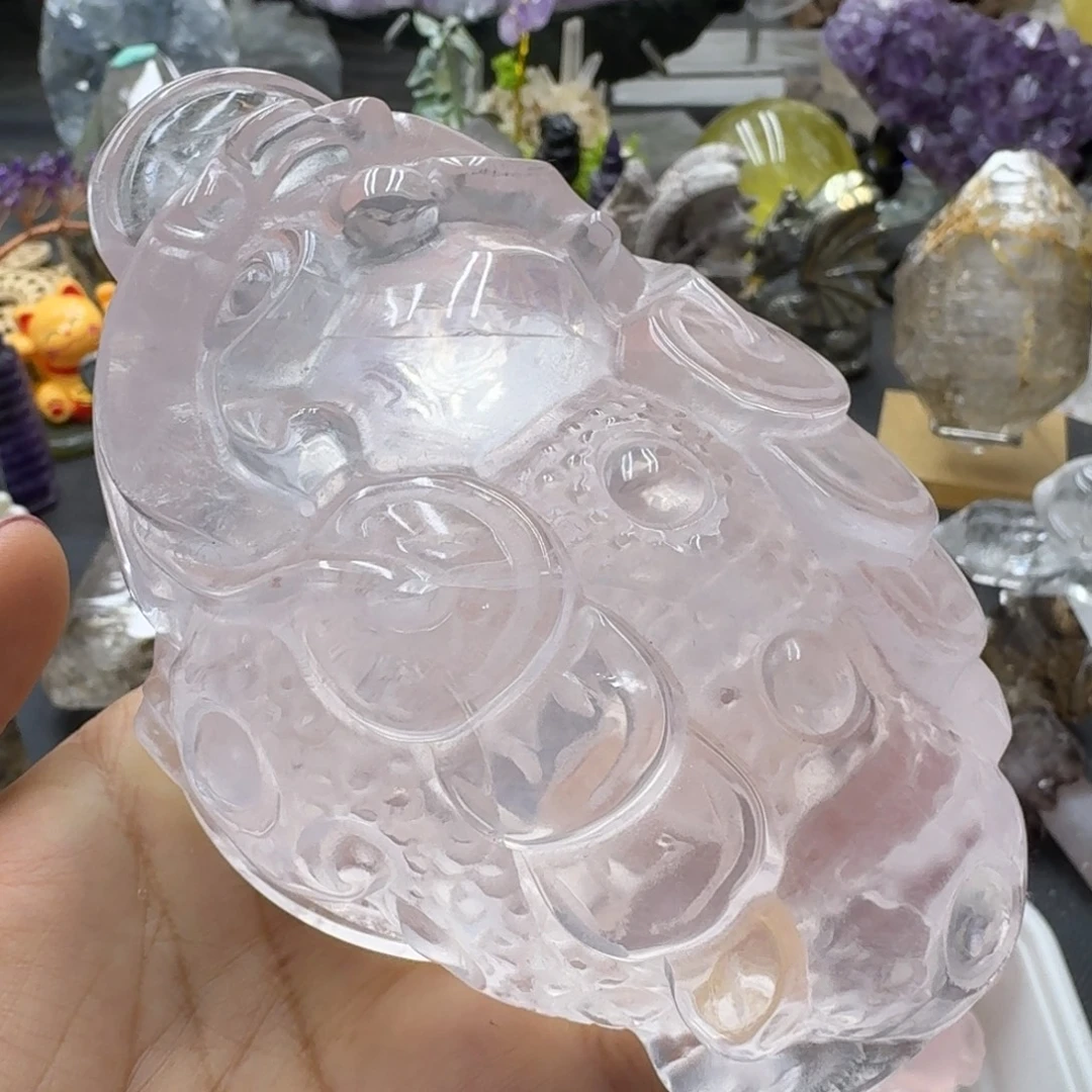 金蟾大卡十一点六