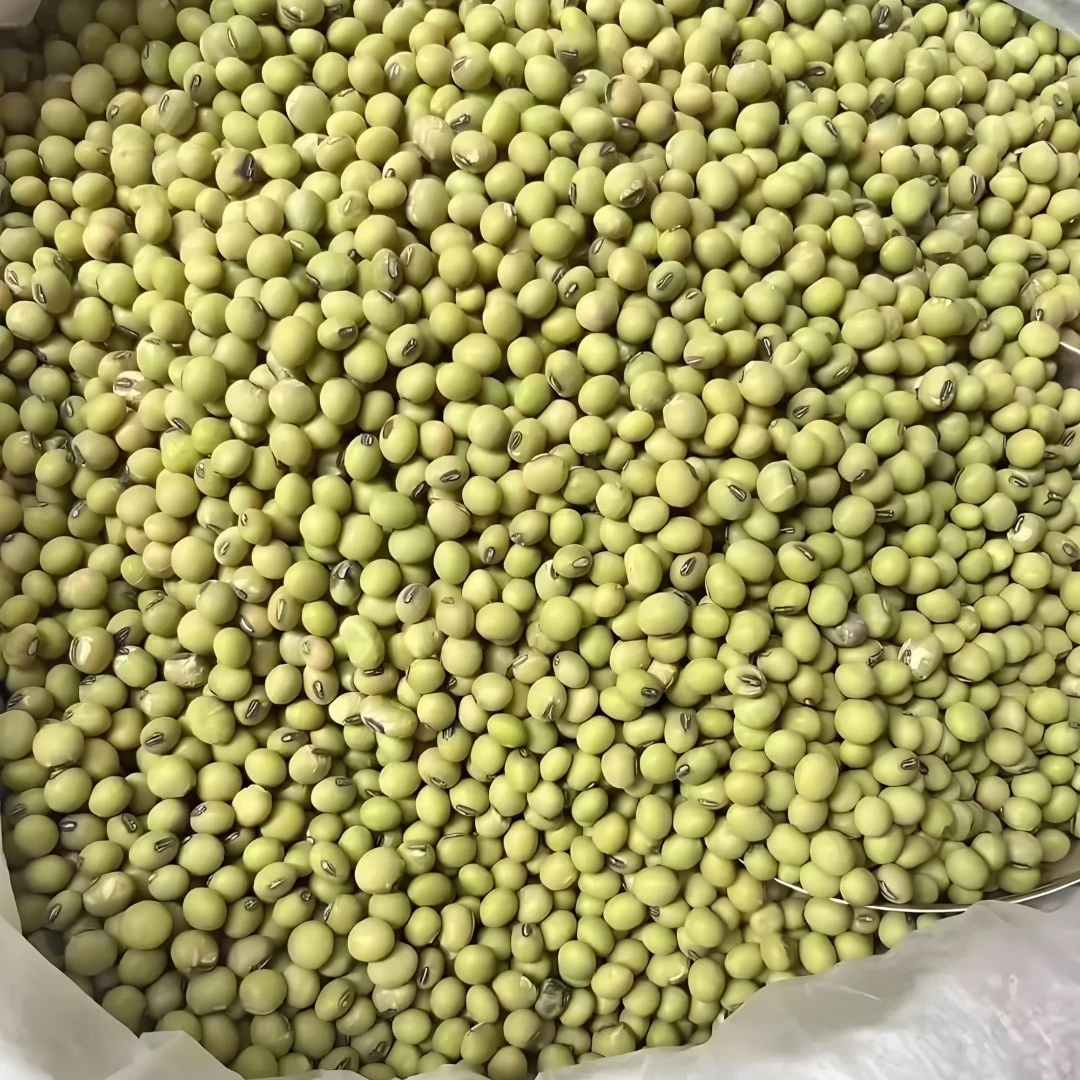 湖南农家自种老品种青皮黄豆非转基因可做豆腐豆浆原料