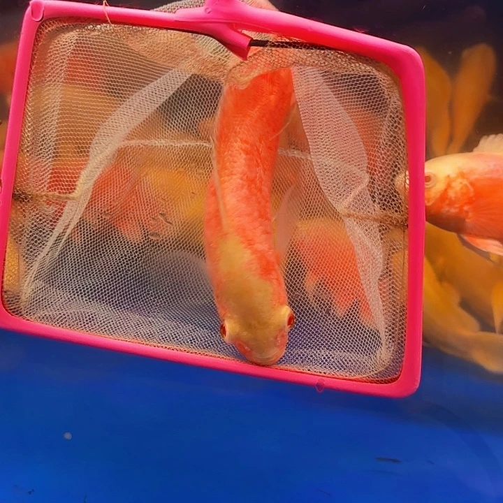 l***8海水啊啊啊啊啊啊啊啊啊啊