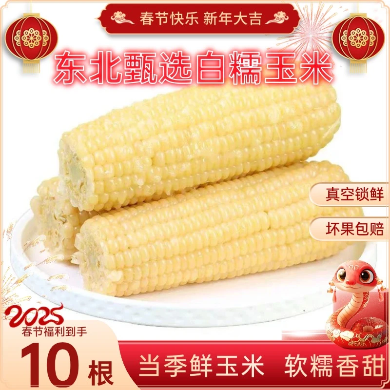 【优选轻食】白糯玉10根甜糯玉米农家种植新鲜玉米粘糯