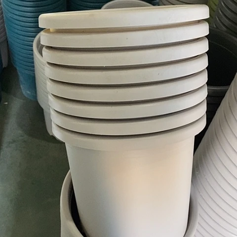 树脂微瑕4号8个无托灰白