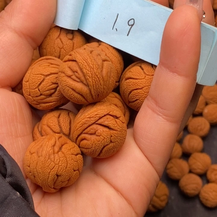 秦岭龙纹桃核14颗