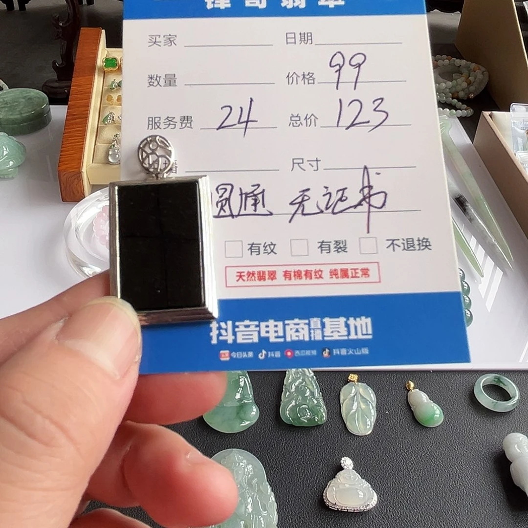 翡翠颈饰银S925镶嵌墨翠