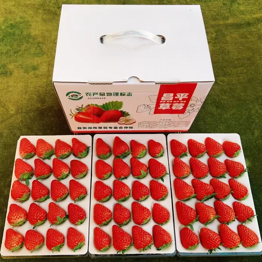 北京昌平草莓(中果2.3斤)