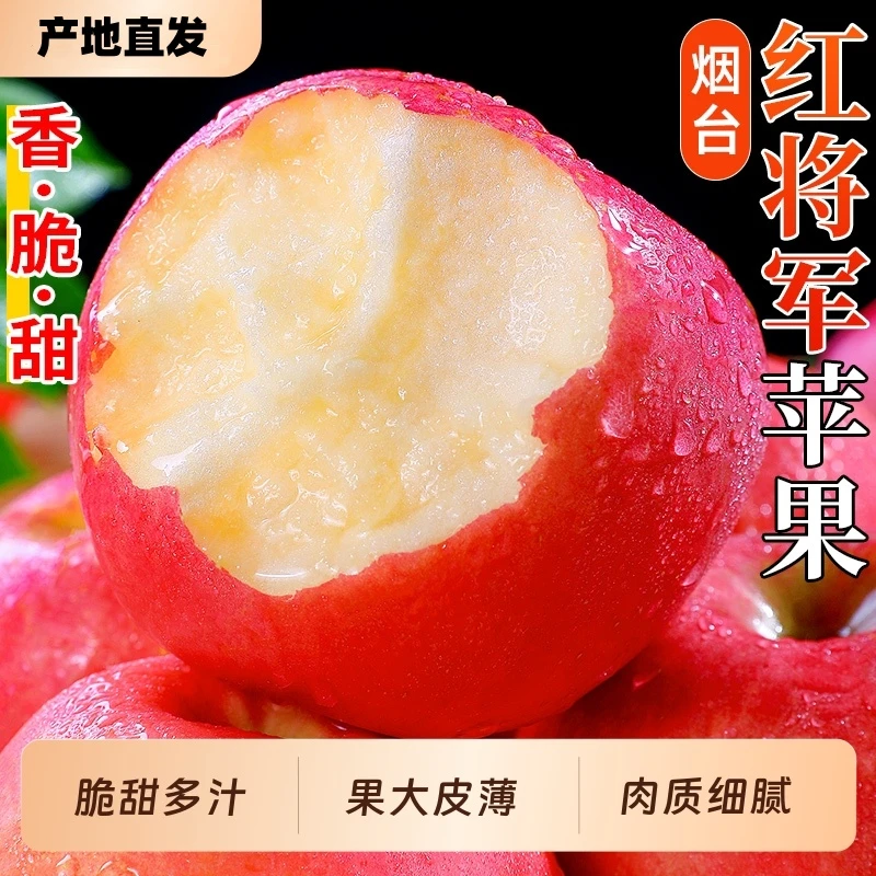 烟台苹果正宗烟台栖霞红将军苹果产地应季水果新鲜苹果