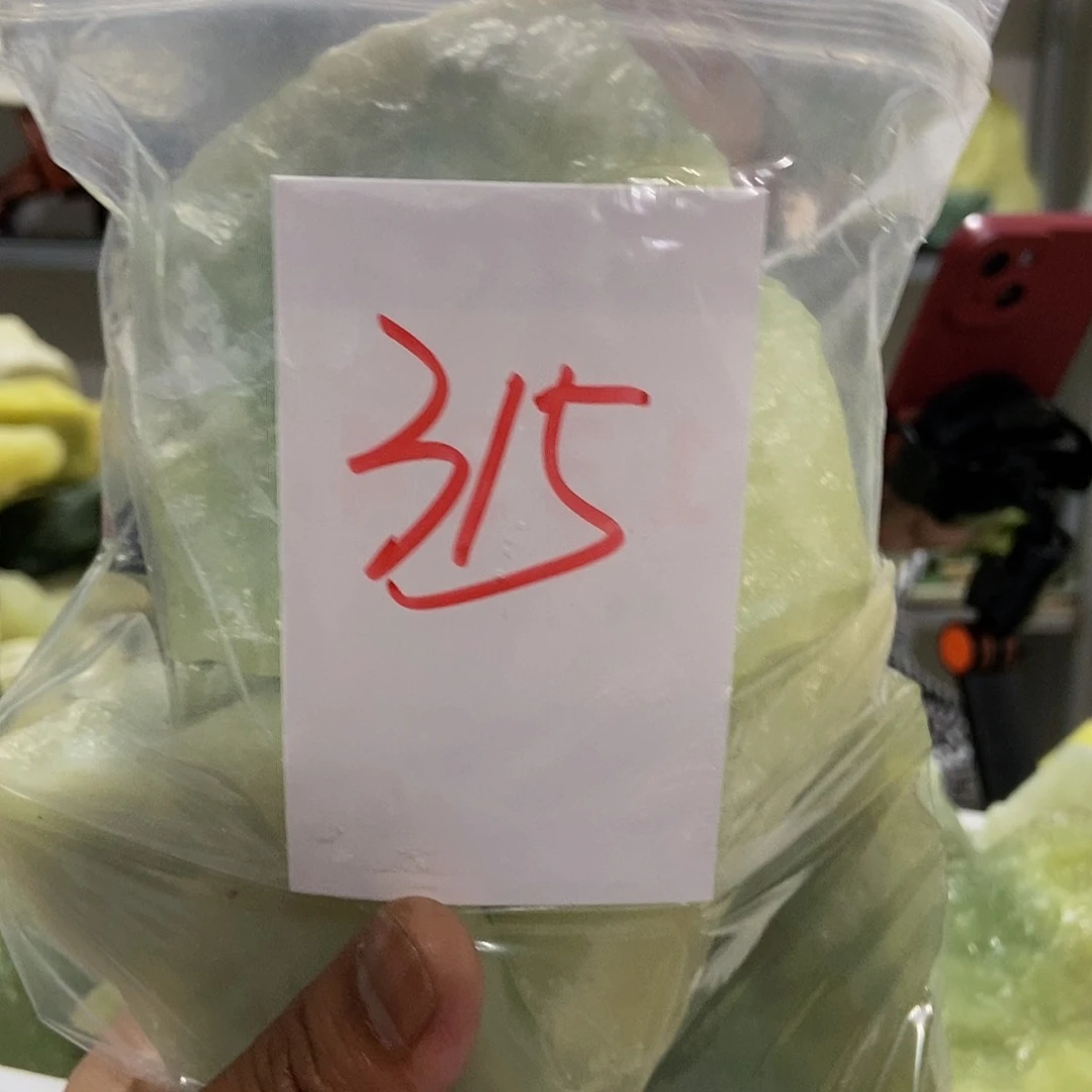 蛇纹石玉未镶嵌原石