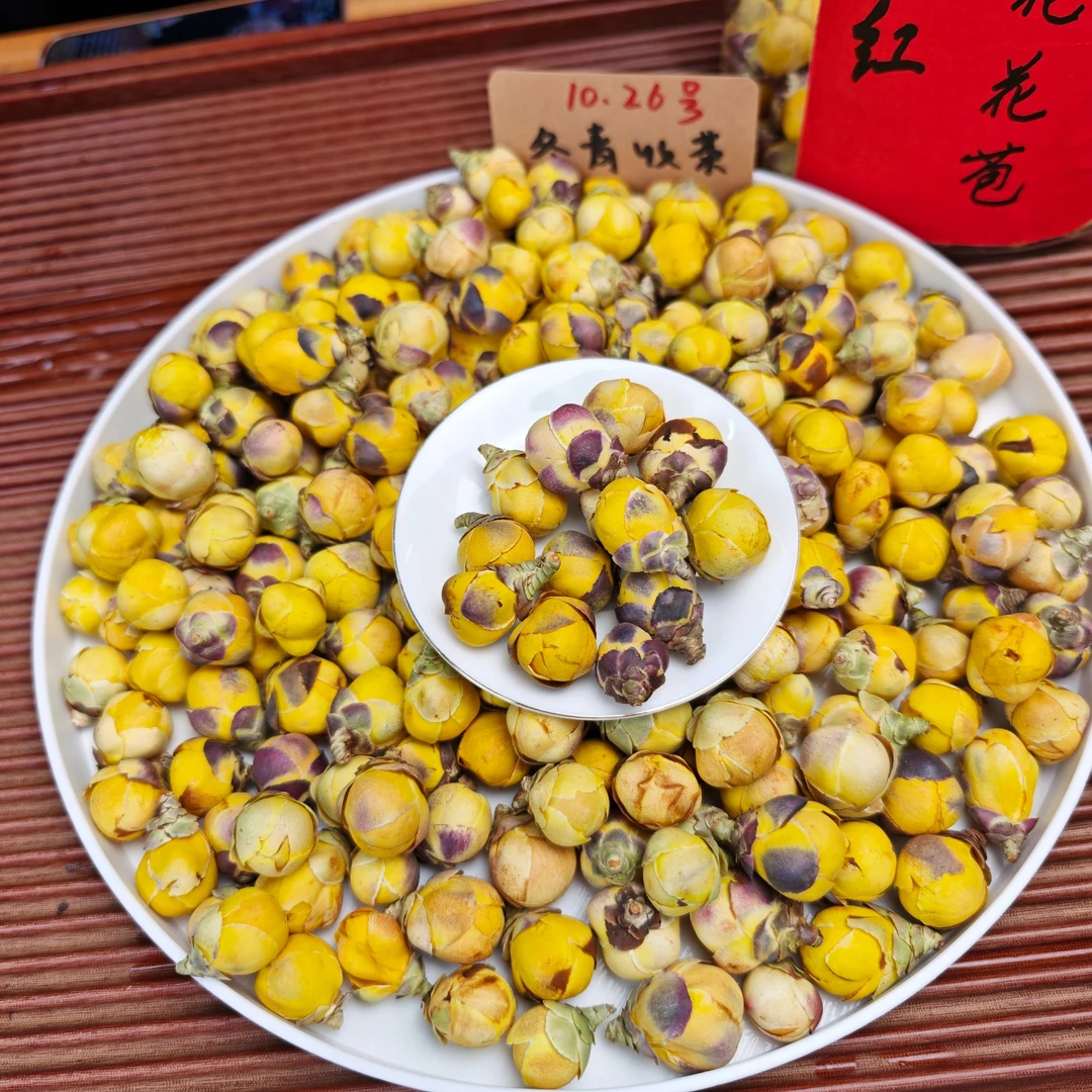 顶上红冻干金花花苞 头采花苞 朵朵肥嫩 母树品种冬青收茶