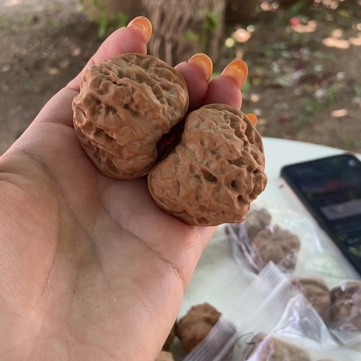 柏香籽/百香籽吊坠42蛤蟆